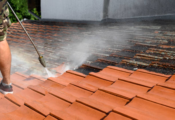 Best Power Washing Near Me  in Peralta, NM