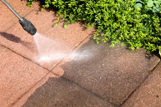 Best Pressure Washing Company Near Me  in Peralta, NM